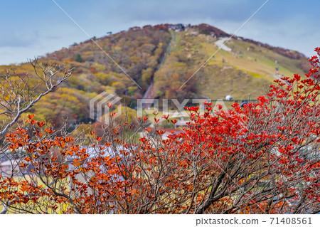 View of Mt. Gozaisho in autumn colors, Komono Town, Mie Prefecture 71408561