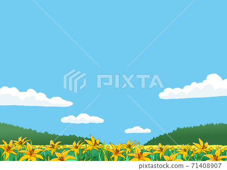 Flower field and blue sky of Nikko Kisuge Flower field and blue sky of Nikko Kisuge 71408907