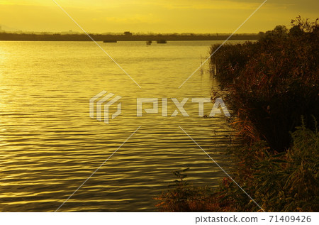 緒方村潟湖的晨景 緒方村潟湖的晨景 71409426