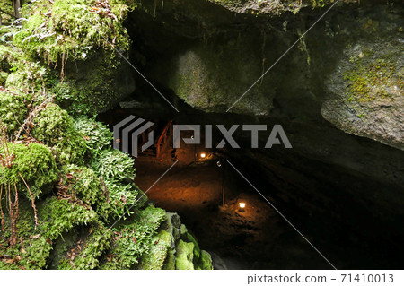 西湖蝙蝠洞山梨縣 71410013