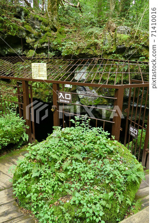 西湖蝙蝠洞山梨縣 西湖蝙蝠洞山梨縣 71410016