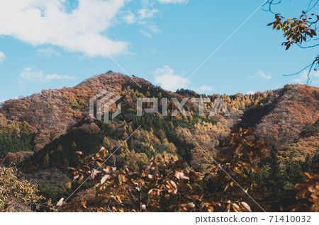 Mountains and blue sky colored in autumn Scenery looking up from Agatsuma Gorge a-2 Film style Mountains and blue sky colored in autumn Scenery looking up from Agatsuma Gorge a-2 Film style 71410032