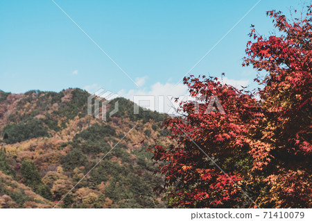 從秋天的楓樹和山脈上色的風景 從秋天的楓樹和山脈上色的風景 71410079