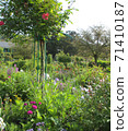 Monet's Garden, Giverny, Flower Garden 11 71410187