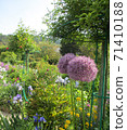 Monet's Garden, Giverny, Flower Garden 12 71410188