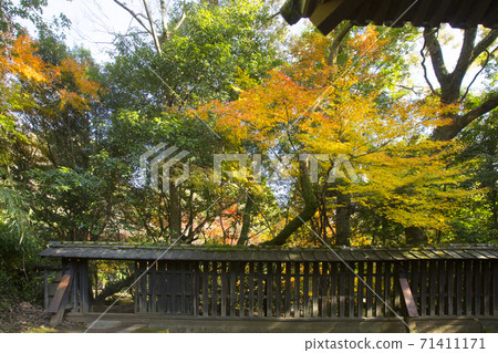 大正寺遺址花園秋葉 71411171