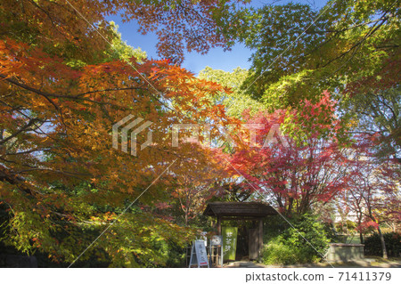 細川監獄大樓清水秋葉 細川監獄大樓清水秋葉 71411379
