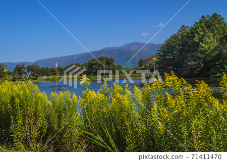 長野縣飯山市信州市秋季長谷運動公園Hariko Pond 長野縣飯山市信州市秋季長谷運動公園Hariko Pond 71411470