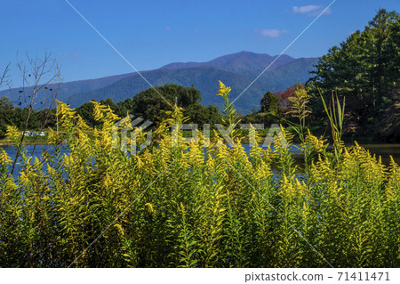 長野縣飯山市信州市秋季長谷運動公園Hariko Pond 長野縣飯山市信州市秋季長谷運動公園Hariko Pond 71411471