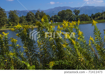 長野縣飯山市信州市秋季長谷運動公園Hariko Pond 長野縣飯山市信州市秋季長谷運動公園Hariko Pond 71411473