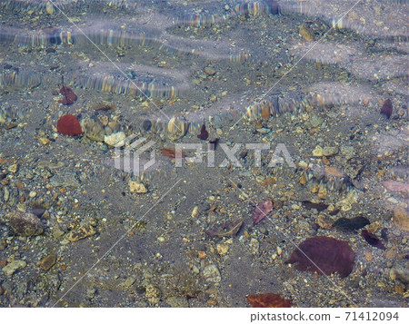 Lake Aoki transparency Lake Aoki transparency 71412094