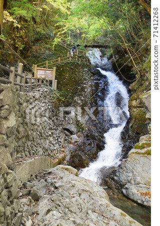 Umenoki Todoroki Park, Autumn Leaves of Todoroki Waterfall 71412268