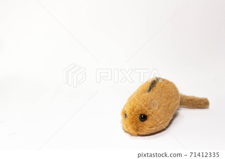 A stuffed animal of the natural monument "Nihon Yamane" 71412335