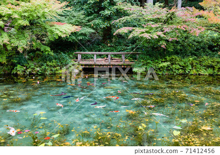Nameless pond Monet's pond A woman sightseeing 71412456