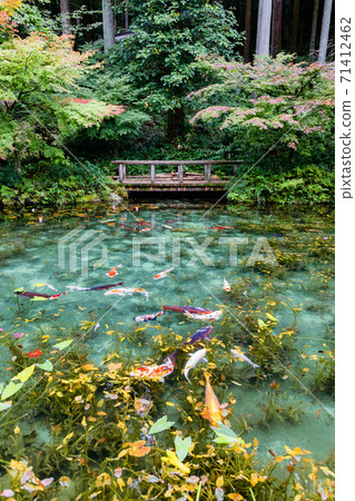 Nameless pond Monet's pond panoramic view 71412462