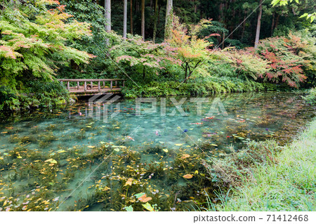 無名池塘莫奈的池塘全景 71412468
