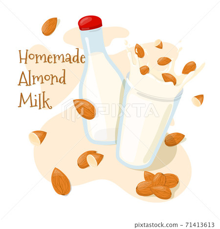 Homemade Almond Milk in a bottle and  Splash with whole almonds in a glass vector icon. Healthy eating cartoon illustration isolated on white background 71413613