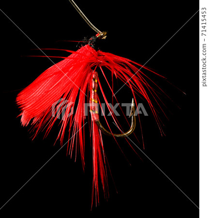 Feathers on the hook for fishing on a black background Feathers on the hook for fishing on a black background 71415453
