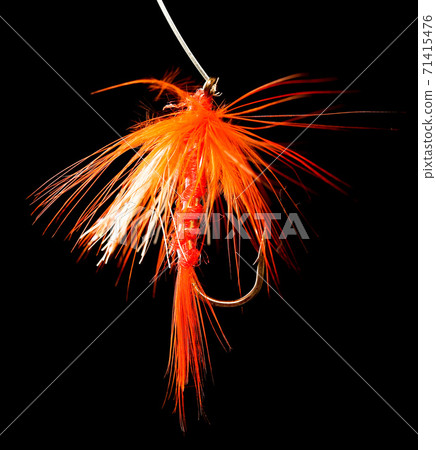 Feathers on the hook for fishing on a black background 71415476