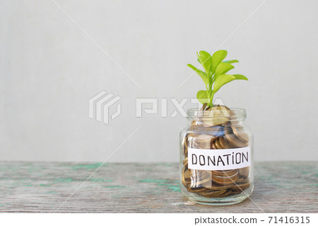 Coins and green sprout in glass jar with inscription donation on gray background. Coins and green sprout in glass jar with inscription donation on gray background. 71416315