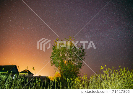 Milky Way Galaxy In Night Starry Sky Above Young Green Lonely Tree In Spring Night. Glowing Stars Above Landscape. Sunset Sunrise Dawn Colors Sky Milky Way Galaxy In Night Starry Sky Above Young Green Lonely Tree In Spring Night. Glowing Stars Above Landscape. Sunset Sunrise Dawn Colors Sky 71417805