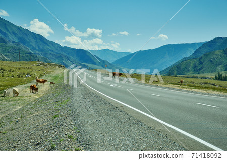 Chuysky Trakt landscape Chuysky Trakt landscape 71418092