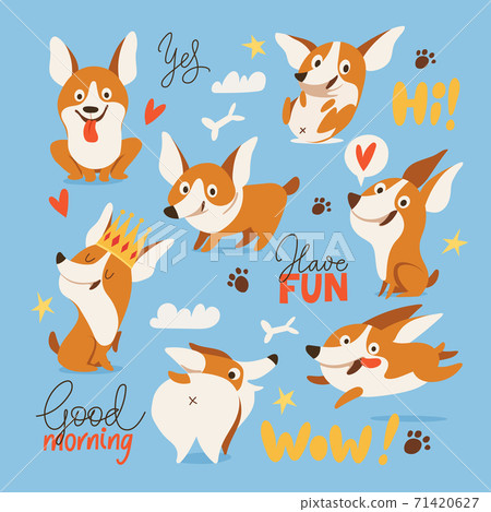Welsh Corgi various characters doing various activities 71420627