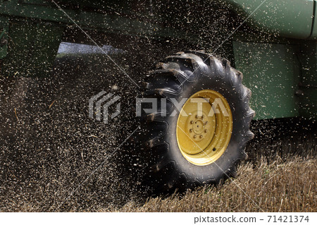 the wheel of a combine harvester in the movement of the harvested grain close up 71421374
