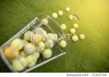 Close up of golf balls and club on the golf grass, sport and recreation concept 71422739