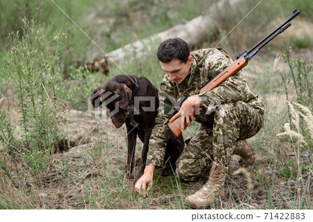 Hunting Dog Breed Pointer Takes Smell of Animal. 71422883