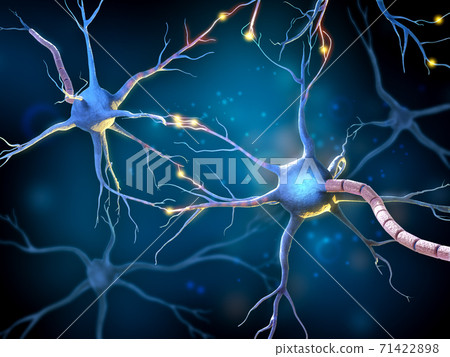 Multipolar neurons network 71422898