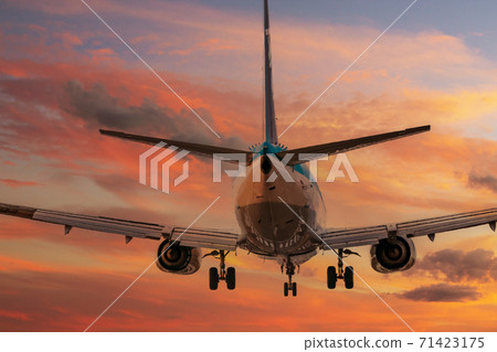 big plane landing during sunset big plane landing during sunset 71423175