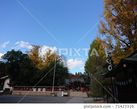 Chichibu Shrine (Chichibu City, Saitama Prefecture) 71423316