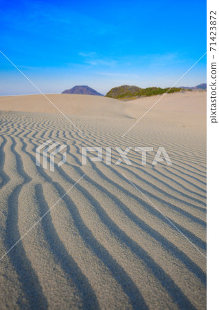 White sand and wavy pattern of Tottori Sand Dunes 71423872