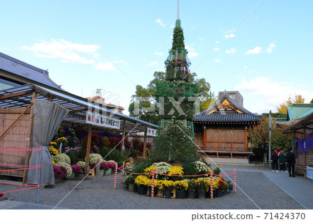 Kameido Tenjin Chrysanthemum Festival 71424370