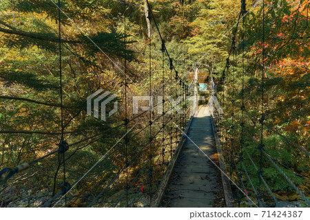 奈良縣小田原市Shiokara吊橋 71424387