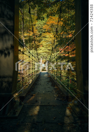 奈良縣小田原市Shiokara吊橋 奈良縣小田原市Shiokara吊橋 71424388