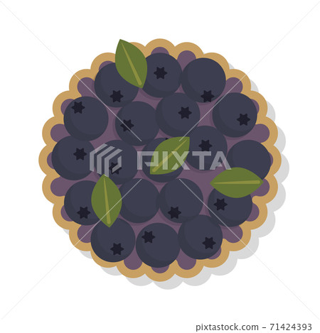 illustration of blueberry tart 71424393