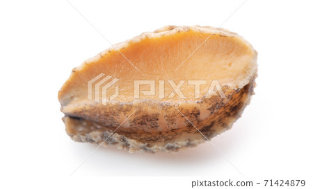 Abalone seafood food white background abalone isolated アワビ あわび abalone 切り抜き 71424879