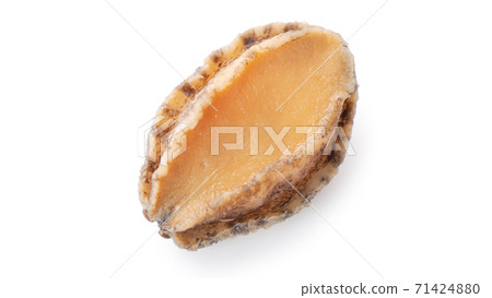 Abalone seafood food white background abalone isolated アワビ あわび abalone 切り抜き Abalone seafood food white background abalone isolated アワビ あわび abalone 切り抜き 71424880