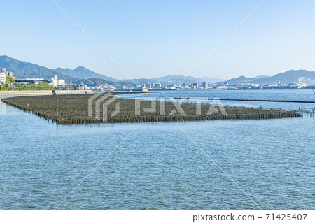 Oyster farming in the Seto Inland Sea, Hiroshima Prefecture Oyster farming in the Seto Inland Sea, Hiroshima Prefecture 71425407