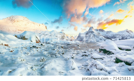 Picturesque frozen Flakstadpollen and Boosen fjords Picturesque frozen Flakstadpollen and Boosen fjords 71425813