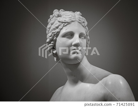 Antique Monumental Italian Renaissance Carrara Marble Statue/Bust