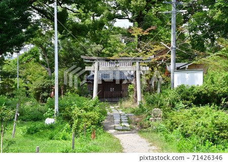 Yodo Castle 06 71426346