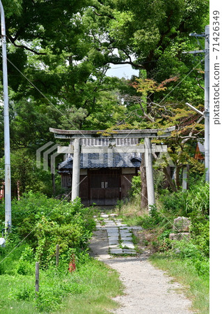 Yodo Castle 07 71426349