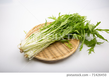 水菜 71426450