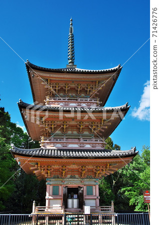 Nangu Shrine monk Shinzenin's three-storied pagoda: Gifu Prefecture Nangu Shrine monk Shinzenin's three-storied pagoda: Gifu Prefecture 71426776