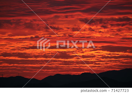 Burning morning glow Burning morning glow 71427723