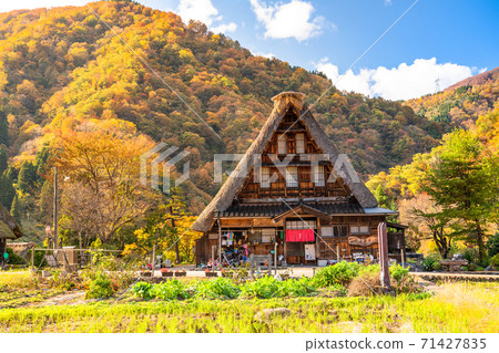 《富山縣》黃葉Su沼合掌祖里村，日本原始風光 71427835