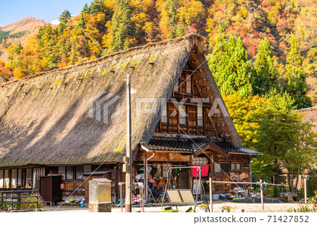 《富山縣》黃葉Su沼合掌祖里村，日本原始風光 71427852